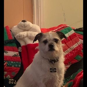 Meet your Posher, George